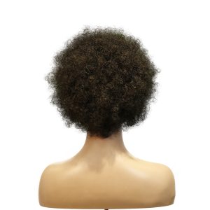 center wig machine made color wig remy hair